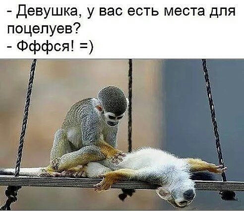 Девушка у вас есть места для поцелуев