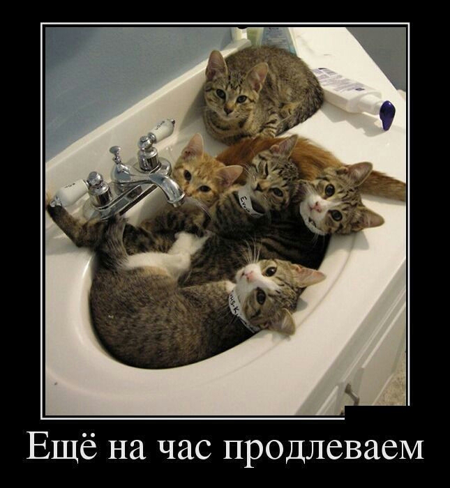 Ещё на час продлеваеМ