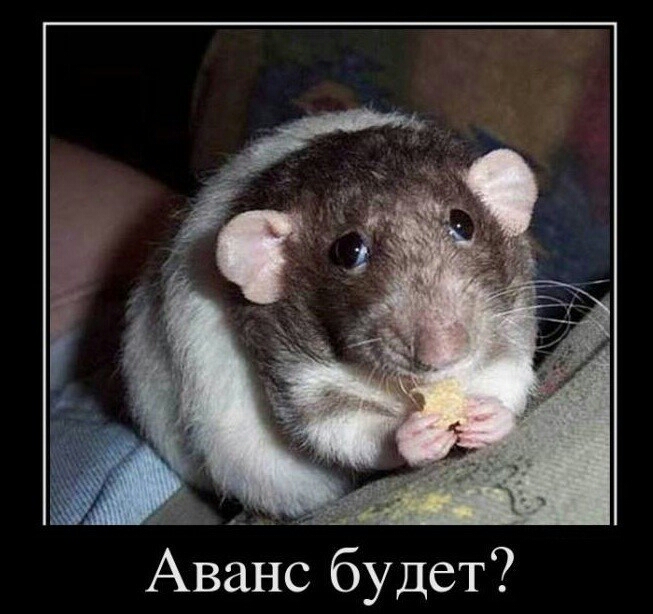 Аванс будет
