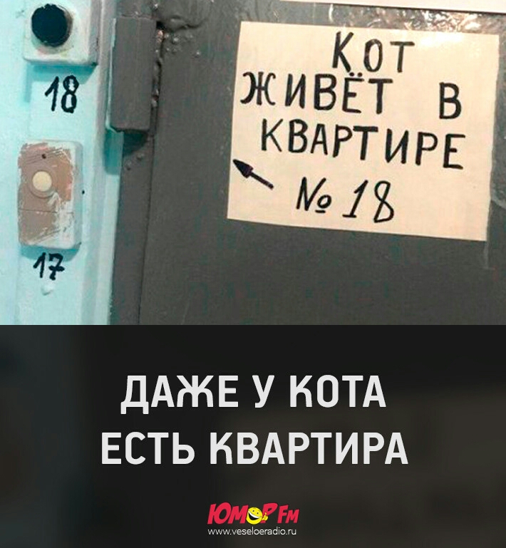 ДАЖЕ У КОТА ЕСТЬ КВАРТИРА мммае легата ш