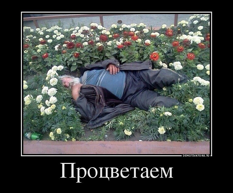 ПроцветаеМ