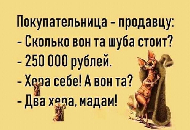 Покупатепьница продавцу Сколько вон та шуба стоит 250 000 рублей Хёза себе А вон та _ЁТ два ХЁЮ мадам