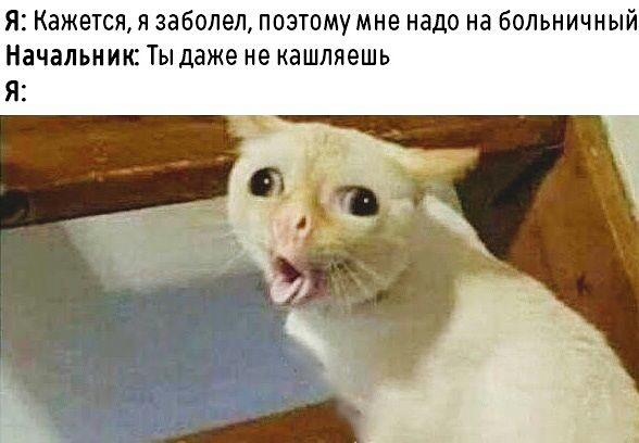 я Кажется я заболел поэтому мне надо на больничный Начальник Ты даже не кашляешь