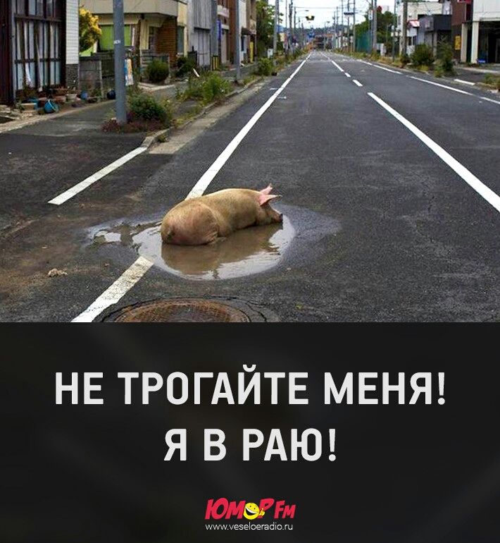 НЕ ТРОГАЙТЕ МЕНЯ Я В РАЮ