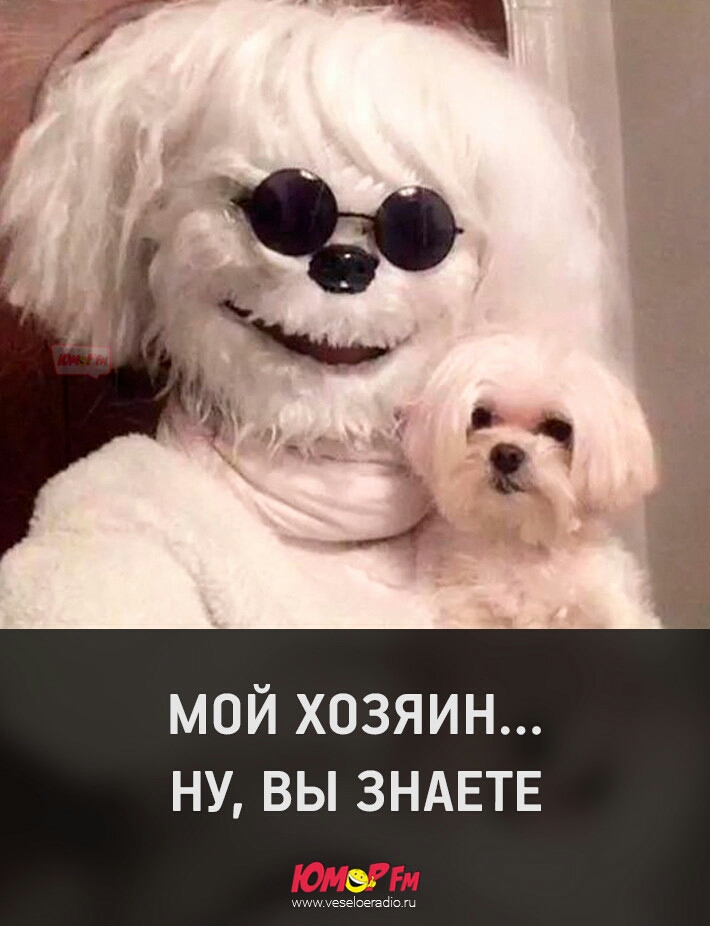 МОЙ ХОЗЯИН НУ ВЫ ЗНАЕТЕ