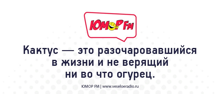Кактус это разочаровавшийся в жизни и не верящий ни во что огурец юмор гм Мщуеэеюеуайю