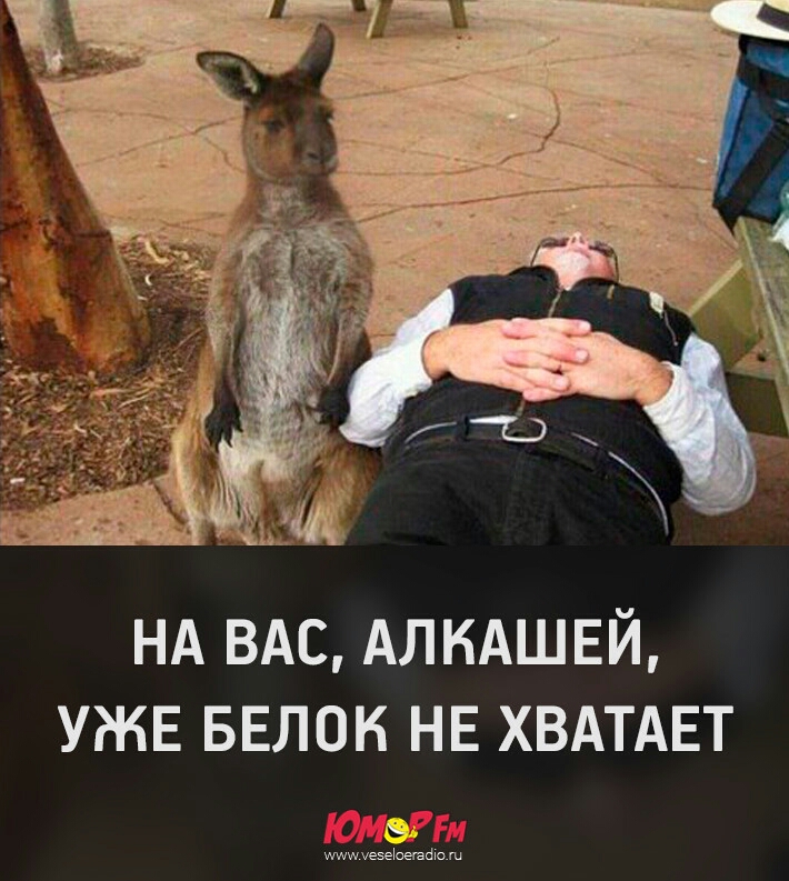 ди НА ВАс АЛКАШЕЙ УЖЕ БЕлок НЕ ХВАТАЕТ ишщувеЬешШо