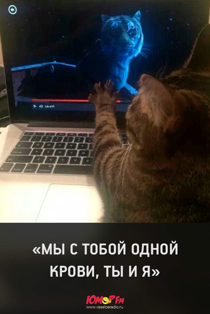 МЫ С ТОБОЙ ОДНОЙ КРОВИ ТЫ И Я