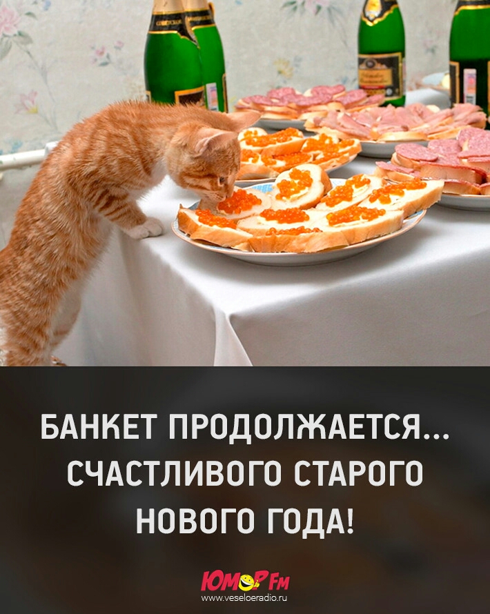 БАНКЕТ ПРОДОЛЖАЕТСЯ СЧАСТЛИВОГО СТАРОГО НОВОГО ГОДА ЩЖ