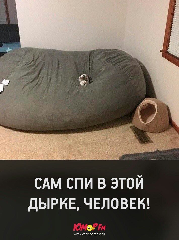 сдм спи в этой дырка чвловвн жди иммшезёоегайю ш