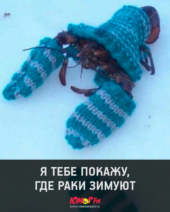 Я ТЕБЕ ПОКАЖУ ГДЕ РАКИ ЗИМУЮТ