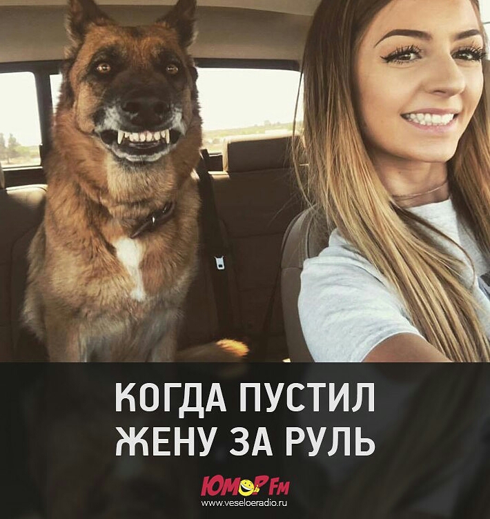 КОГДА ПУСТИЛ ЖЕНУ ЗА РУЛЬ шишуезеЬешшо