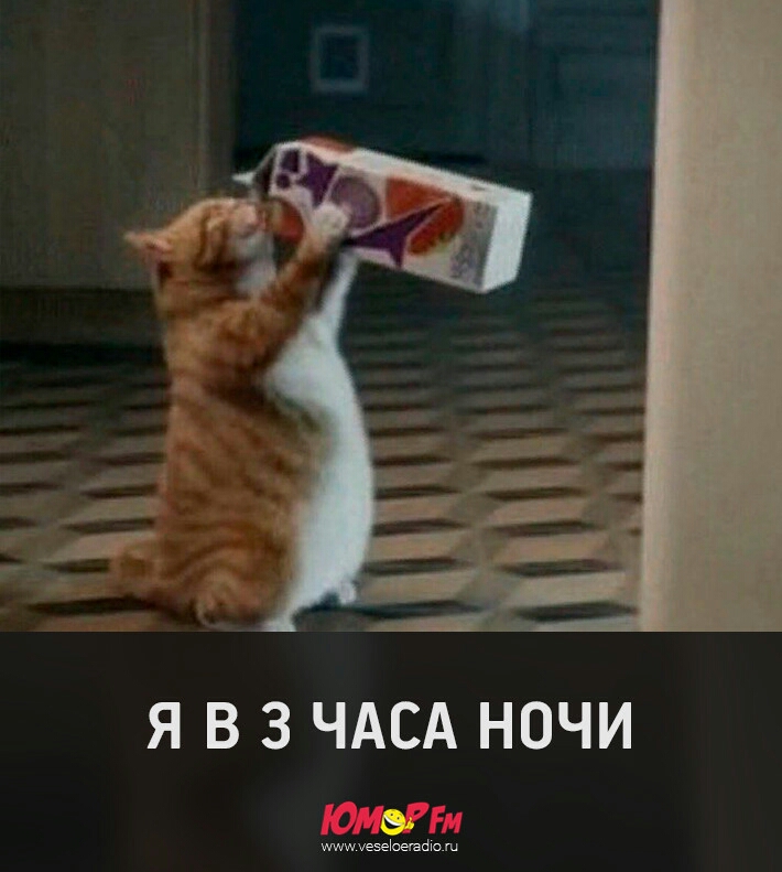 Я В 3 ЧАСА НОЧИ