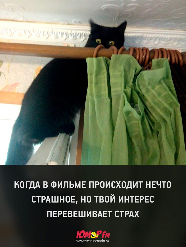 КОГДА В ФИЛЬМЕ ПРОИСХОДИТ НЕЧТО СТРАШНОЕ НО ТВОЙ ИНТЕРЕС ПЕРЕВЕШИВАЕТ СТРАХ имхезеъегадю ш