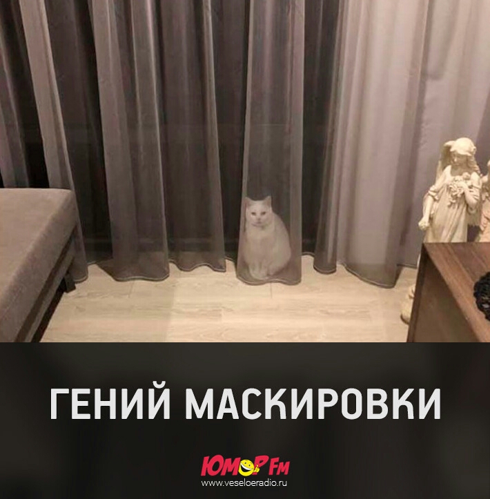 ГЕНИЙ МАСКИРОВНИ уеэёоэгайю ш