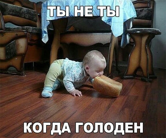 КОГДА ГОЛОДЕН
