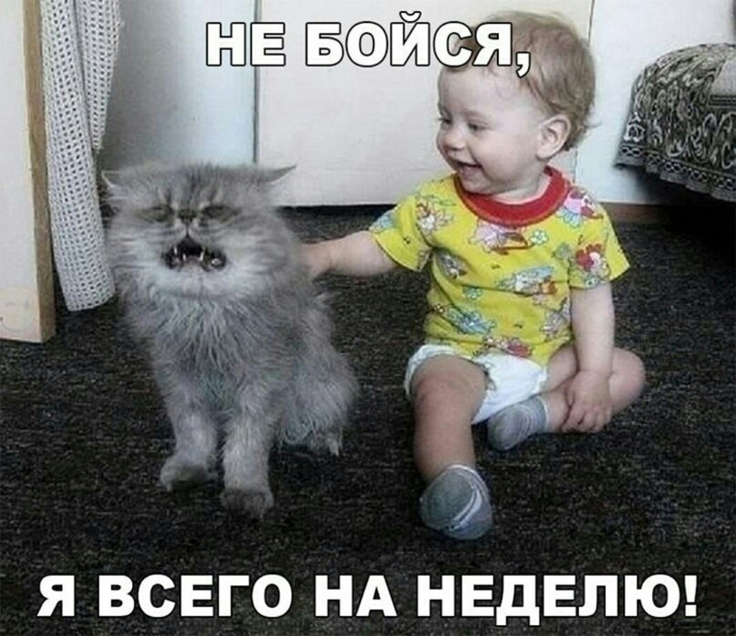 Я ВСЕГО НА НЕДЕЛЮ