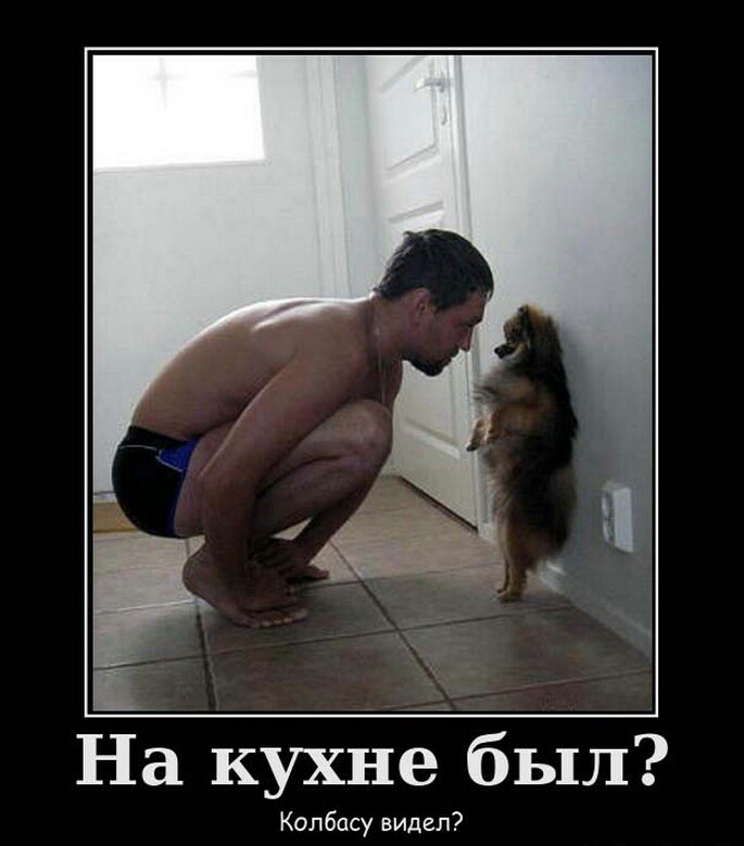 На кухне был Колбасу видел