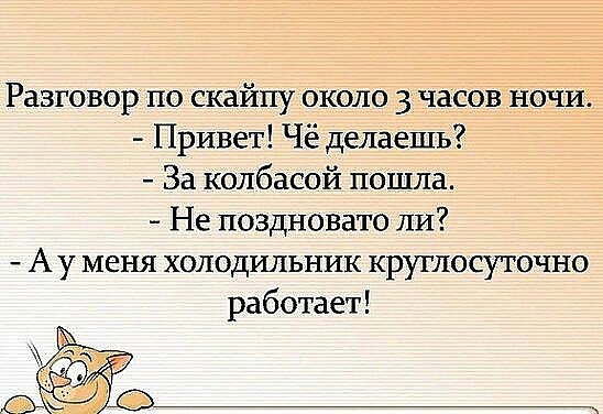 Разговор по скайпу около 3 часов ночи Привет Чё делаешь За колбасой пошла Не поздновато ли А у меня холодильник круглосуточно работает