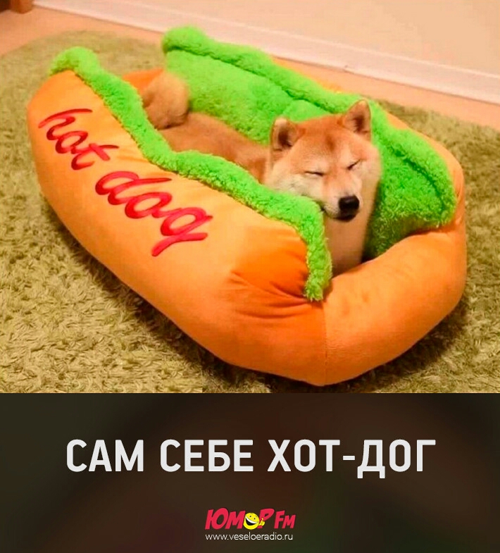 САМ СЕБЕ ХОТ ДОГ щоеашо