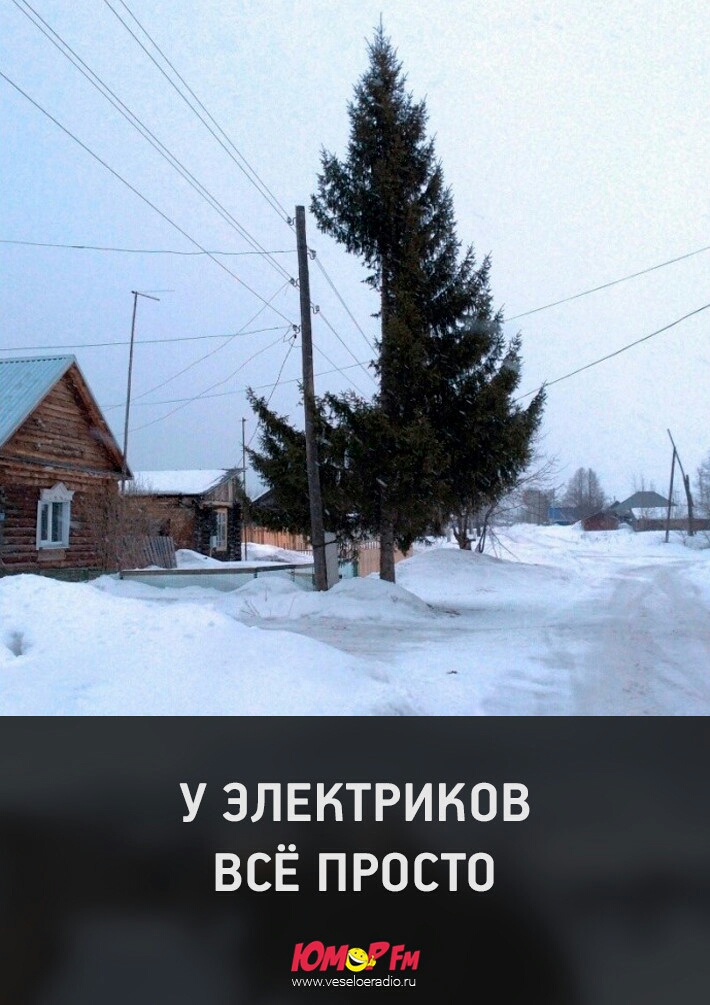 У ЗЛЕКТРИНОВ ВСЁ ПРОСТО