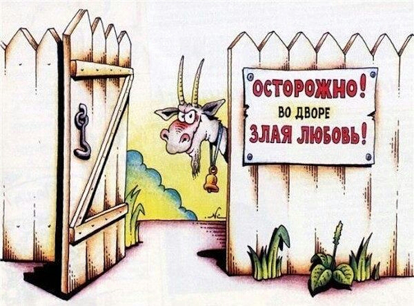 осторожно подвои шпион д