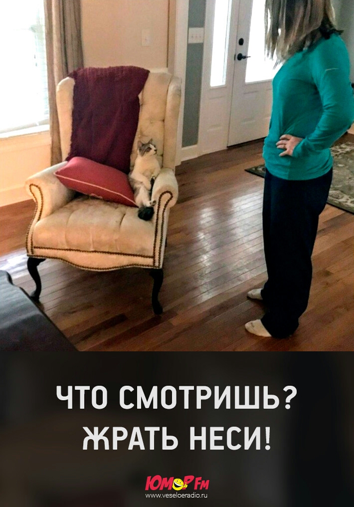 1х ЧТО СМОТРИШЬ ЖРАТЬ НЕСИ ишшуезеюнайю