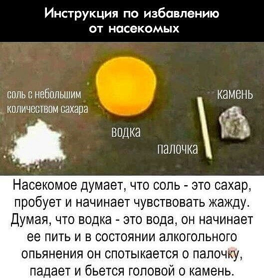 Инструкция по избавлению от насекомых соль и небольшим камень количестпм сахара ВОДКЭ ПЭЛОЧКЭ Насекомое думает что сопь это сахар пробует и начинает чувствовать жажду Думая что водка это вода он начинает ее ПИТЬ И В СОСТОЯНИИ аПКОГОПЬНОГО опьянения он спотыкается о палочку па_ает и бьется головой о камень