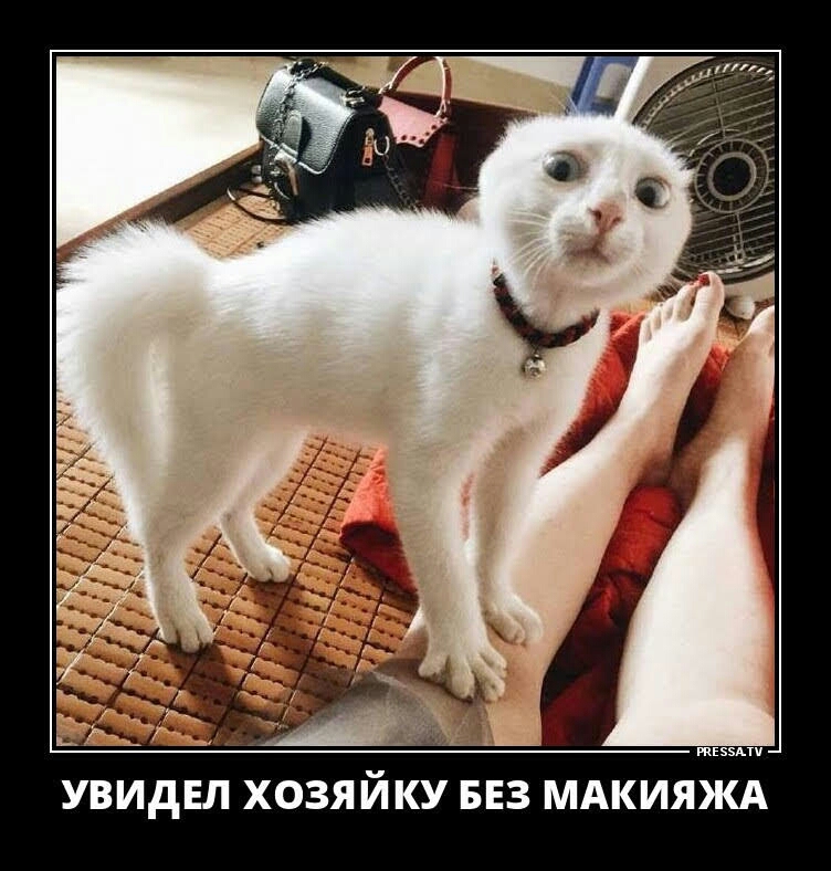 и УВИДЕЛ ХОЗЯЙКУ БЕЗ МАКИЯЖА