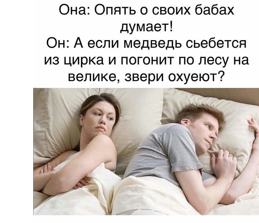 Она Опять о своих бабах думает Он А если медведь сьебется из цирка и погонит по лесу на велике звери охуеют