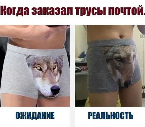 Когда заказал ШШЁЫ почтой ШШЩШИЕ гншьноеть