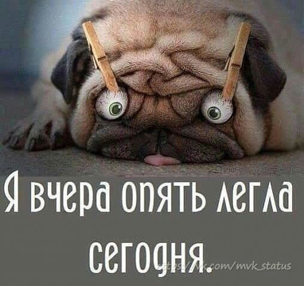 Я вчера опйть АегАа сегодня