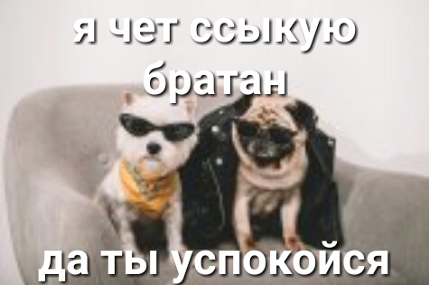 ЦЭТ ССЫКУЮ
