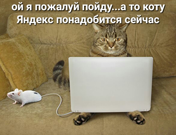 ой я пожалуй пойду а то коту Яндекс понадобйіся сейчас