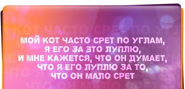 МОЙ КОТ ЧАСТО СРЕТ ПО УГПАМ Я ЕГО ЗА ЭТО ПУПЛЗО И МНЕ КАЖЕТСЯ ЧТО ОН дУМАЕТ ЧТО Я ЕГО ПУППЮ 35 то ЧТО ОН МАПО ГГЕТ