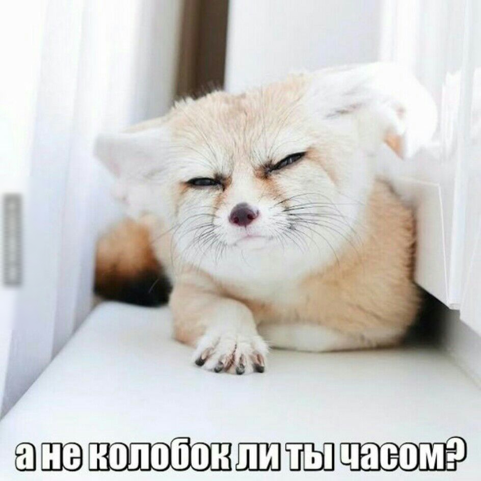 ЩЭМШШПШЕЕЩЁШЕЁЭ