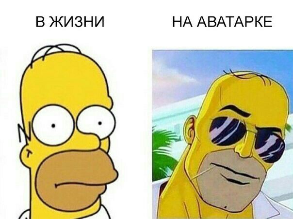 В ЖИЗНИ НА АВАТАРКЕ