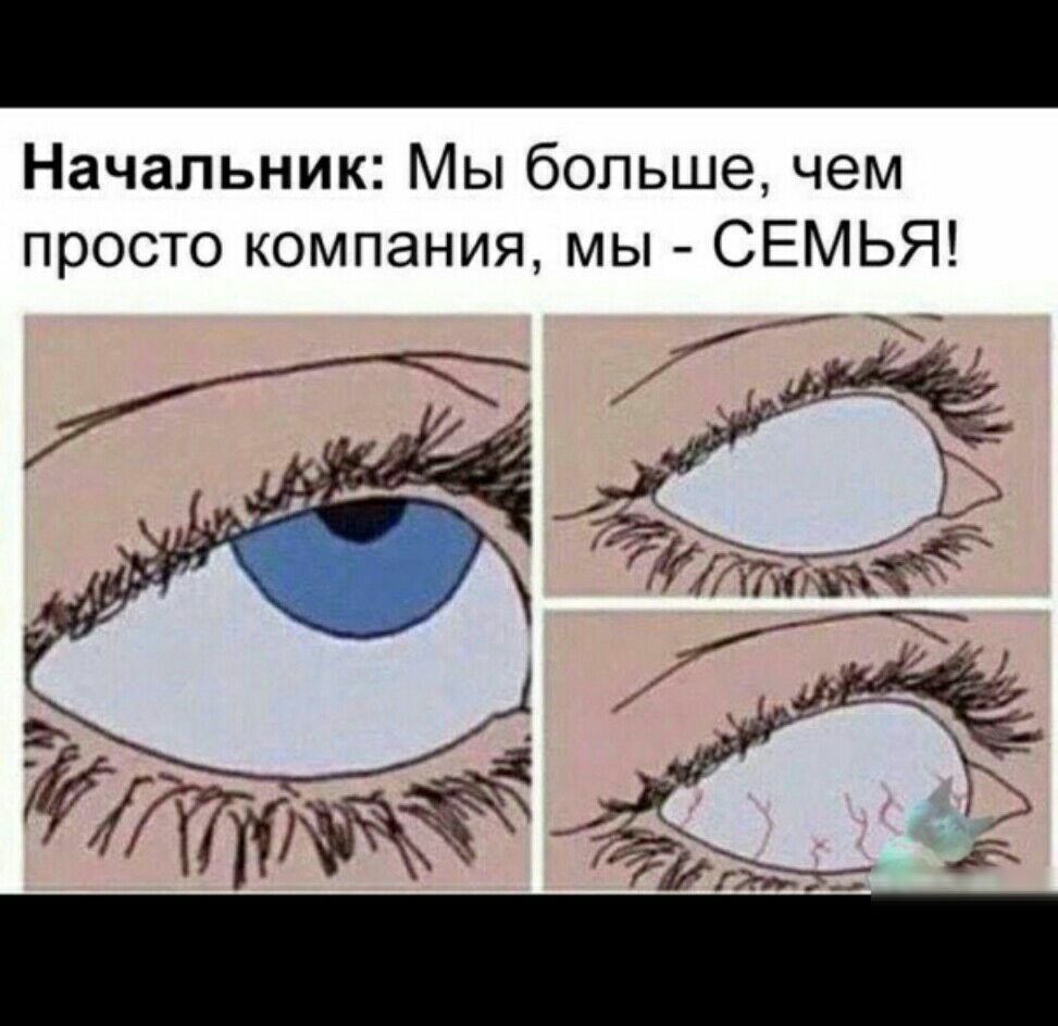 Начальник Мы больше чем просто компания мы СЕМЬЯ