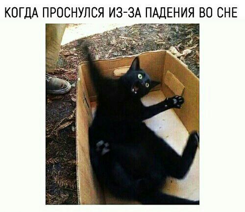 КОГДА ПРОСНУЛСЯ ИЗ ЗА ПАДЕНИЯ ВО СНЕ тт
