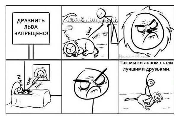 ДРАЗНИТЬ ЛЬВА ЗАПРЕЩЕНО Так мы со львом пали лучшими друзьями