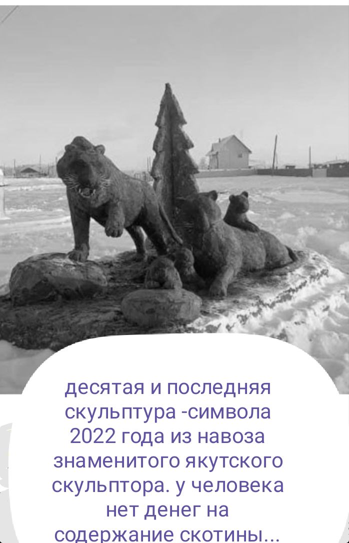 десятая И ПОСЛЭДНЯЯ скульптура символа 2022 года из навоза знаменитого якутского скульптора у человека нет денег на содержание скотины