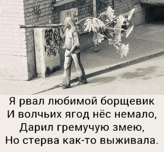 Я рвал любимой борщевик И волчьих ягод нёс немало Дарил гремучую змею Но стерва как то выживала