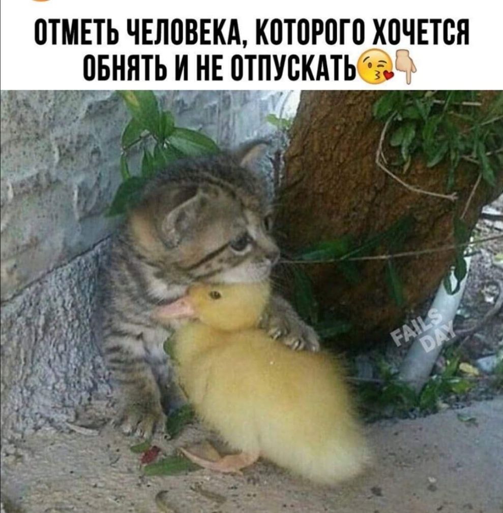 0ТМЕТЬ ЧЕЛВВЕКА К0Т0Р0Г0 ХПЧЕТВН _ПБННТЬ И НЕ ПТПУВКАТЬЪ