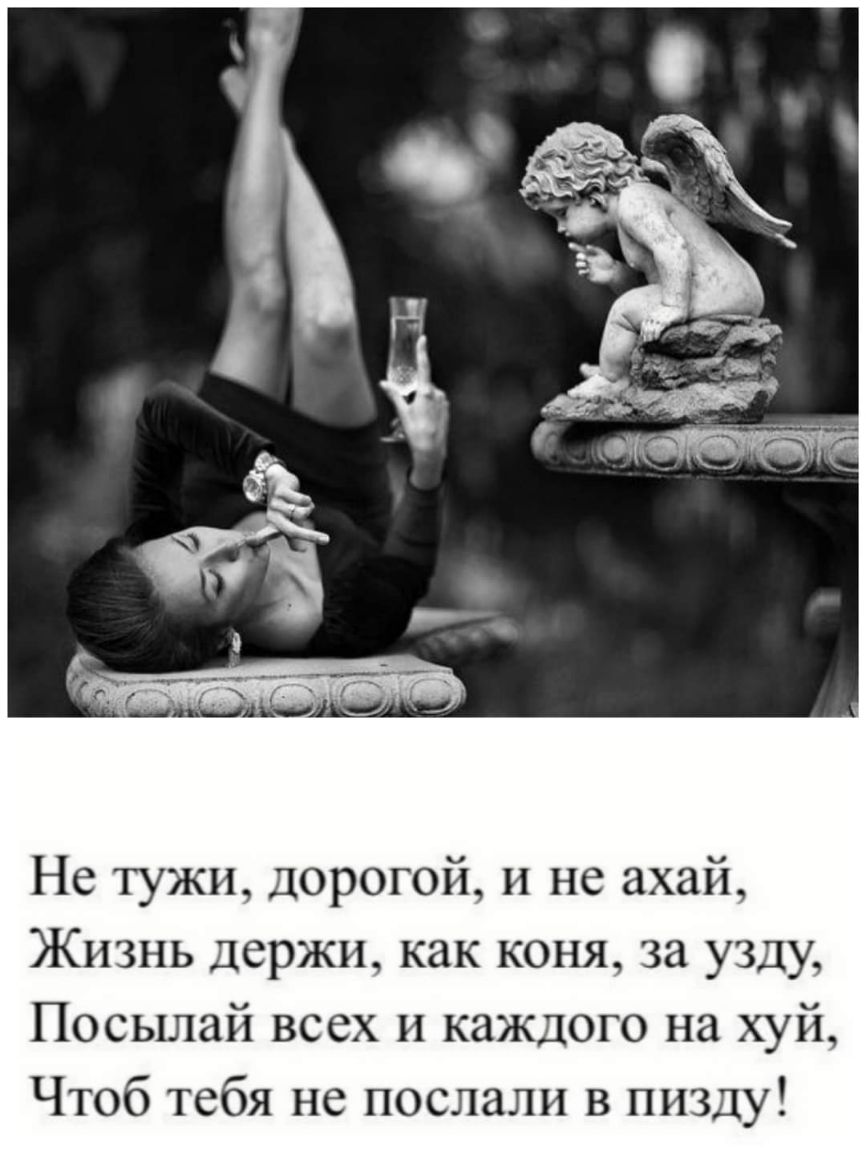 Не тужи дорогой и не ахай Жизнь держи как коня за узду Посылай всех и каждого на хуй Чтоб тебя не послали в пизду