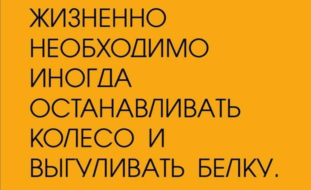 ЖИЗНЕННО НЕОБХОДИМО ИНОГДА ОСТАНАВЛИВАТЬ КОЛЕСО И ВЫГУЛИВАТЬ БЕЛКУ