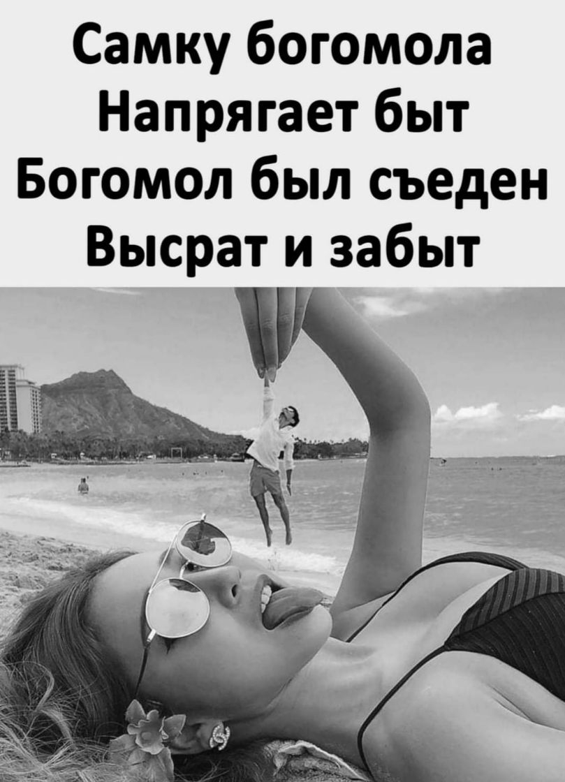 Самку богомола Напрягает быт Богомол был съеден Высрат и забыт