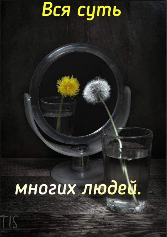 Вся суть