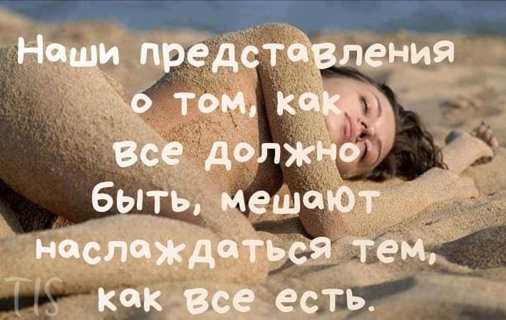 Наши представления 9 том кит все должно быть мешают наслаждаться тем как Все есть