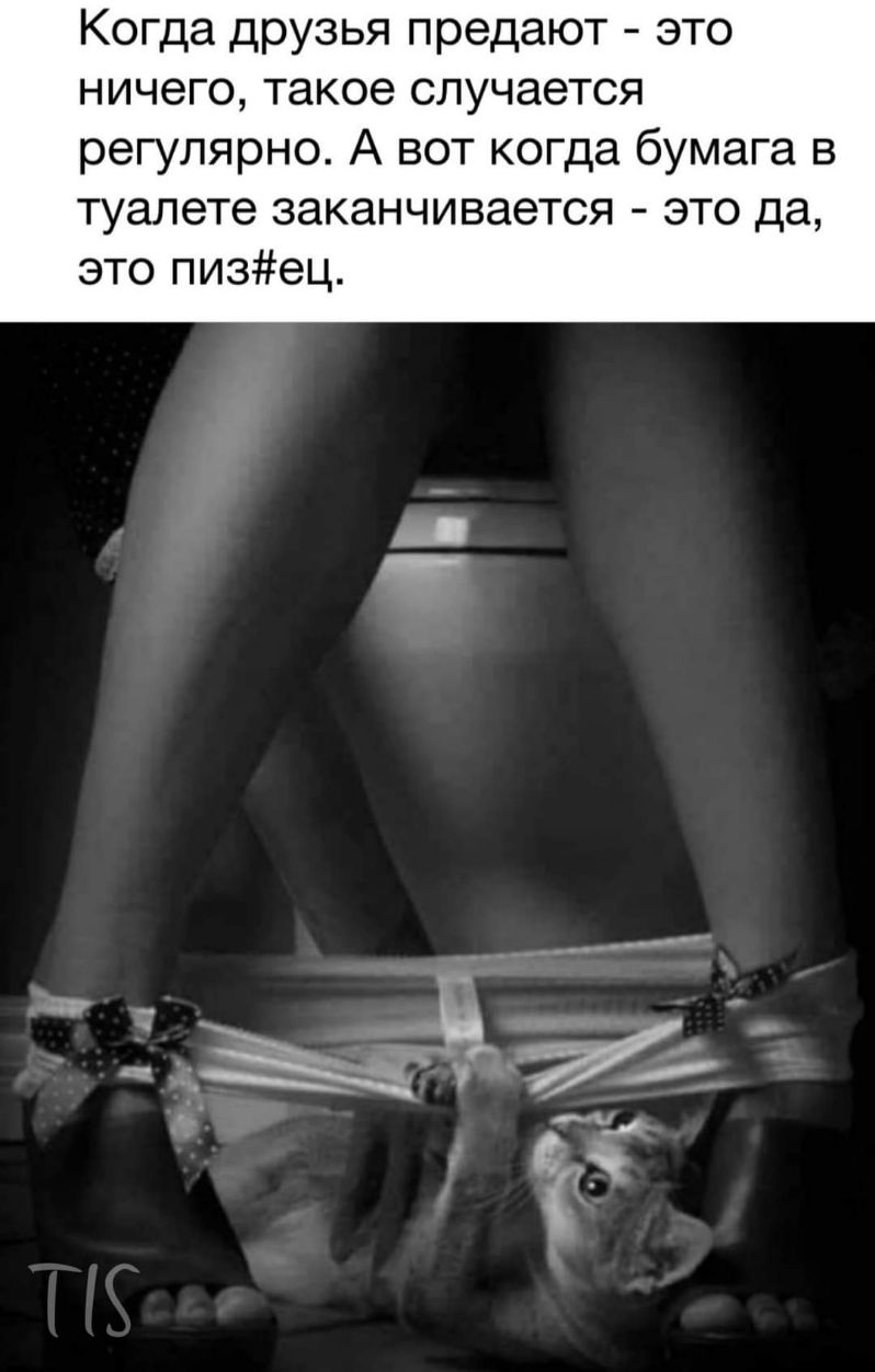 Когда друзья предают это ничего такое случается регулярно А вот когда бумага в туалете заканчивается это да это пизец