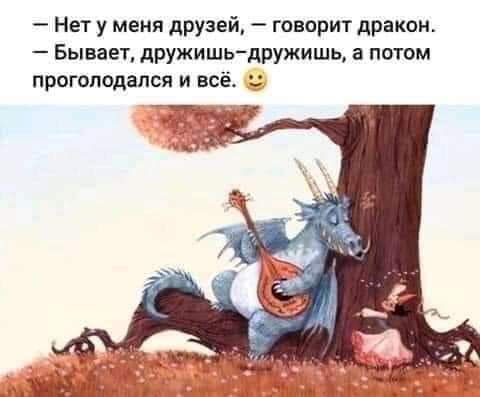 Нет у меня друзей говорит дракон Бывает дружищьдружишь а потом прогоподапся и всё